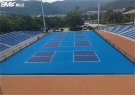 巴里·邦兹在 2003 年完成生涯 500 轰与 500 盗，达成史上唯一的“500-500”神迹